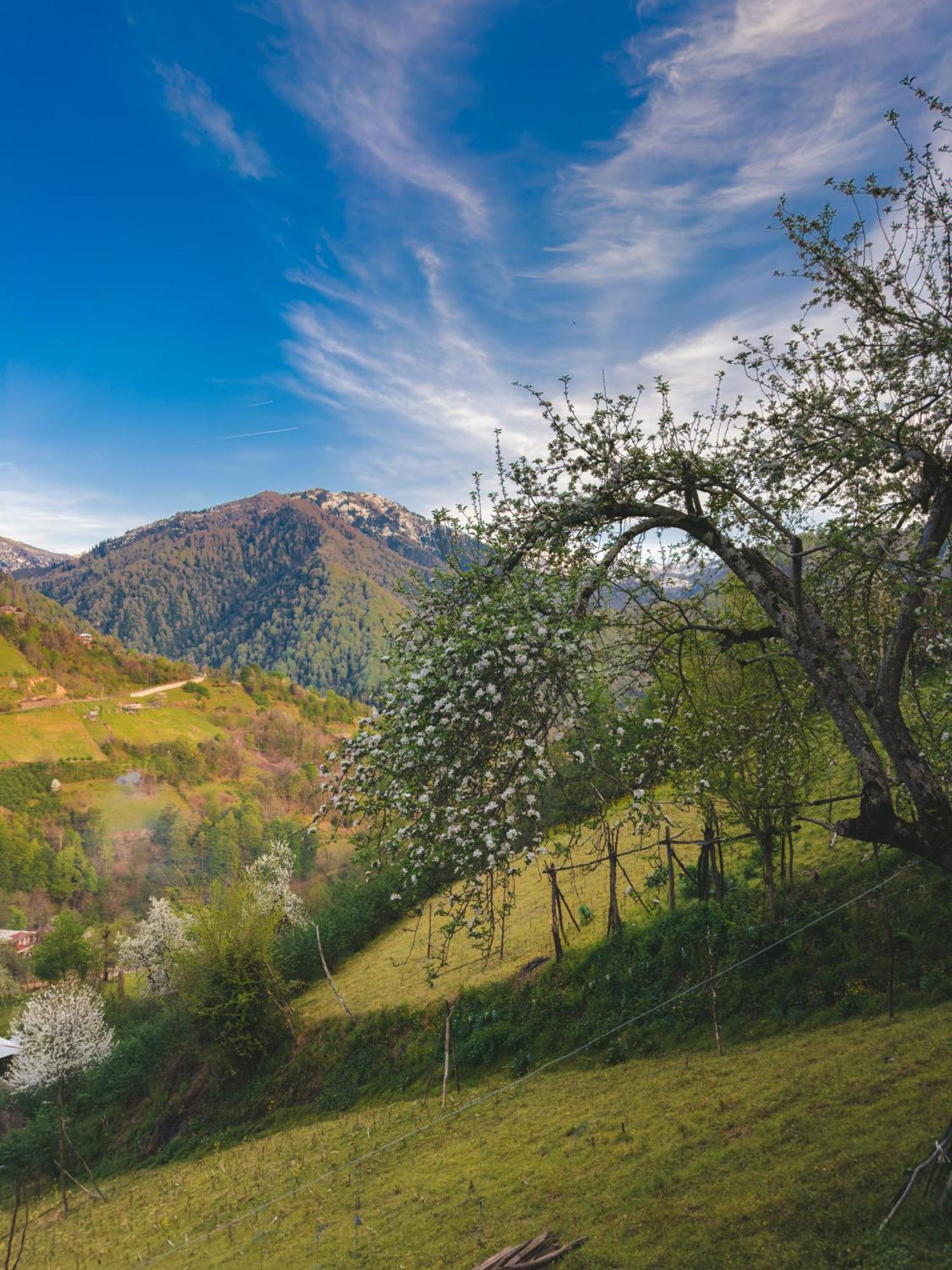 Eco Cottage Sunrise Merisi Luaran gambar
